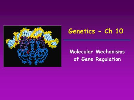 Genetics - Ch 10 Molecular Mechanisms of Gene Regulation.