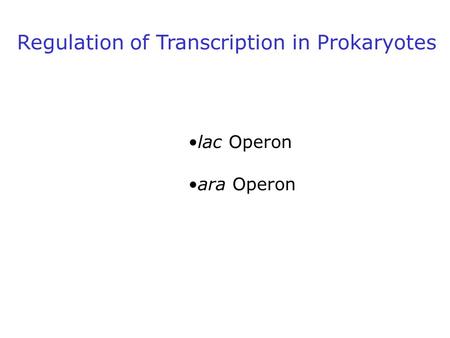 Regulation of Transcription in Prokaryotes