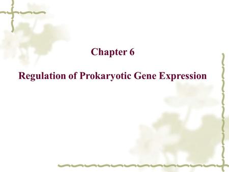 Chapter 6 Regulation of Prokaryotic Gene Expression.