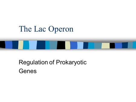 The Lac Operon Regulation of Prokaryotic Genes. n Scientists investigated a transcriptionally regulation system using the lactose metabolism system in.