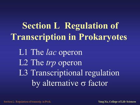 Section L: Regulation of transcrip. in Prok.Yang Xu, College of Life Sciences Section L Regulation of Transcription in Prokaryotes L1 The lac operon L2.