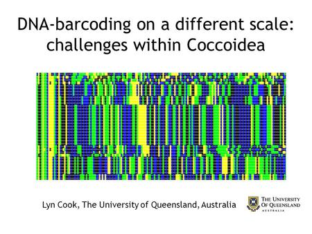 DNA-barcoding on a different scale: challenges within Coccoidea Lyn Cook, The University of Queensland, Australia.