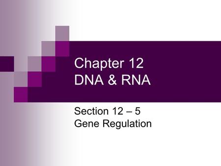 Section 12 – 5 Gene Regulation