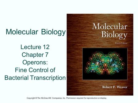 Lecture 12 Chapter 7 Operons: Fine Control of Bacterial Transcription