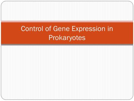 Control of Gene Expression in Prokaryotes