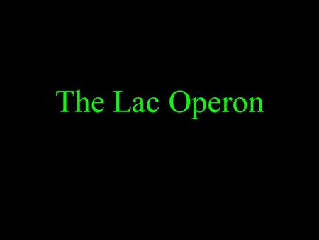 The Lac Operon. Lactose = Galactose and Glucose Cells adapt to their environment by turning on and off genes. An operon is a cluster of bacterial genes.