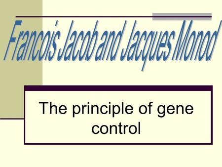 The principle of gene control