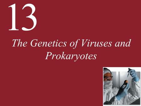 13 The Genetics of Viruses and Prokaryotes. 13 The Genetics of Viruses and Prokaryotes 13.1 How Do Viruses Reproduce and Transmit Genes? 13.2 How Is Gene.