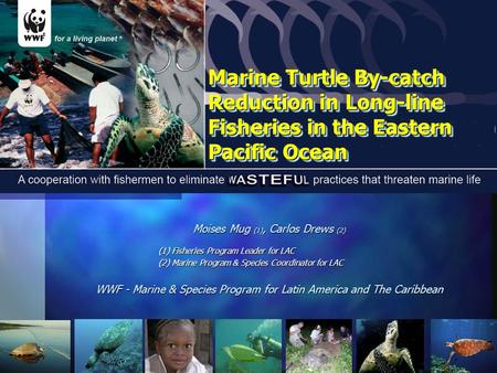 Marine Turtle By-catch Reduction in Long-line Fisheries in the Eastern Pacific Ocean Moises Mug (1), Carlos Drews (2) (1) Fisheries Program Leader for.