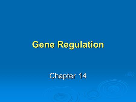 Gene Regulation Chapter 14. Learning Objective 1 Why do bacterial and eukaryotic cells have different mechanisms of gene regulation? Why do bacterial.
