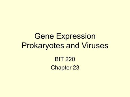 Gene Expression Prokaryotes and Viruses BIT 220 Chapter 23.