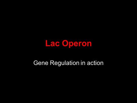 Lac Operon Gene Regulation in action. What is gene regulation Expressing a gene –Making the protein for the gene Only making a protein when needed The.