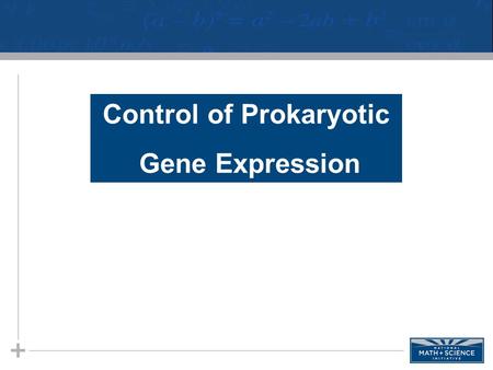 Control of Prokaryotic Gene Expression. Prokaryotic Regulation of Genes Regulating Biochemical Pathway for Tryptophan Synthesis. 1.Produce something that.