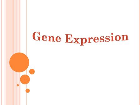 G ENE R EGULATION The turning on and off of genes Allows organisms to respond to environmental changes Ex: lac Operon in bacteria.