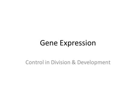Gene Expression Control in Division & Development.