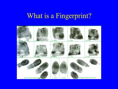 What is a Fingerprint?.