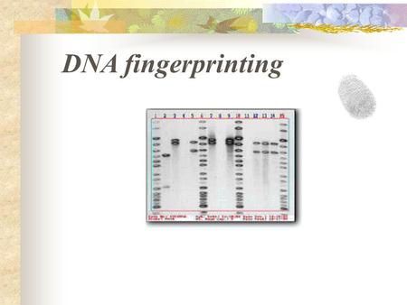 DNA fingerprinting.
