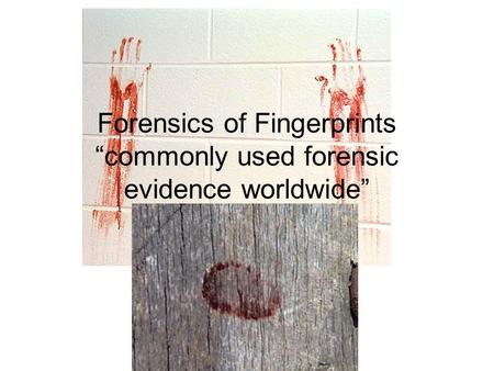 Forensics of Fingerprints “commonly used forensic evidence worldwide”