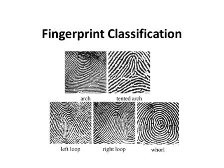 Fingerprint Classification. Classifying Prints Why classify prints? To add order to chaos – like a library organizing books by author or subject matter.