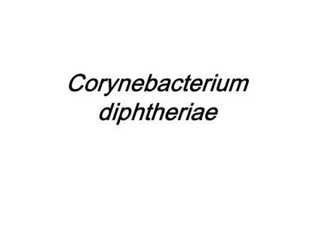 Corynebacterium diphtheriae. Biological Features Aerobic, Gram +, Noncapsulated, rods Gray-black colonies on tellurite 亚碲酸盐 medium Metachromatic granules.