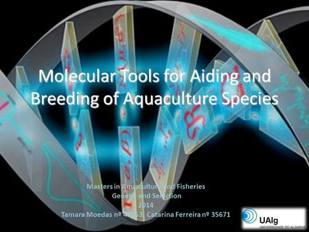 Molecular Tools for Aiding and Breeding of Aquaculture Species Masters in Aquaculture and Fisheries Genetic and Selection 2014 Tamara Moedas nº 47853;