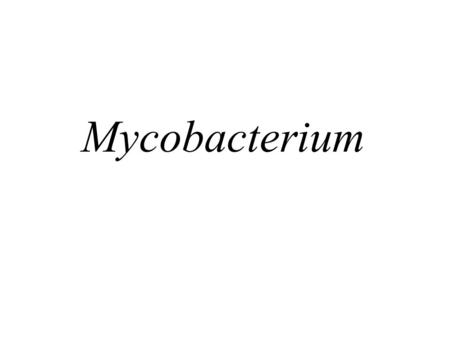 Mycobacterium.