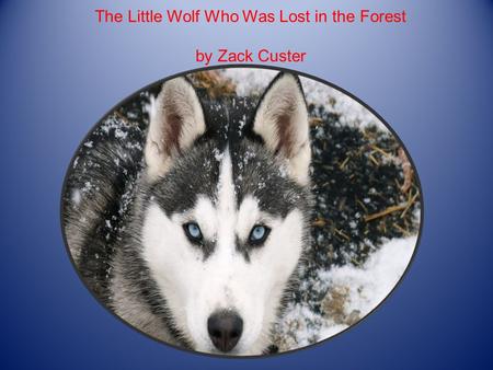 The Little Wolf Who Was Lost in the Forest by Zack Custer.