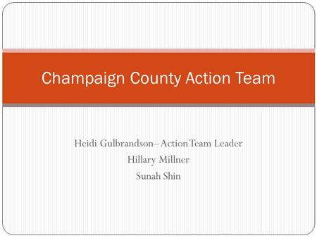 Heidi Gulbrandson– Action Team Leader Hillary Millner Sunah Shin Champaign County Action Team.
