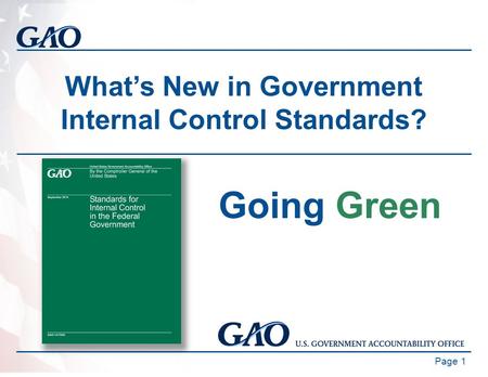 What’s New in Government Internal Control Standards?