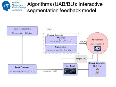Algorithms (UAB/BU): Interactive segmentation feedback model.