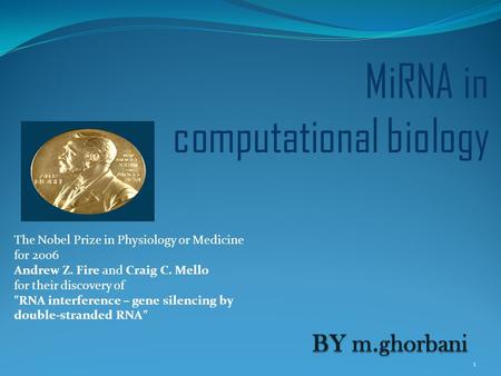 MiRNA in computational biology 1 The Nobel Prize in Physiology or Medicine for 2006 Andrew Z. Fire and Craig C. Mello for their discovery of RNA interference.