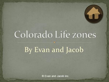 By Evan and Jacob © Evan and Jacob inc.. Alpine Life zone 11,500 feet above sea level Continental divide East Subalpine 10,500-11,500 feet above sea level.