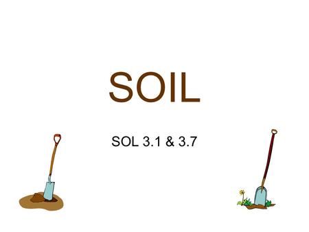 SOIL SOL 3.1 & 3.7 Soil provides support and nutrients for plant growth.