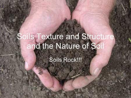 Soils Texture and Structure and the Nature of Soil Soils Rock!!!