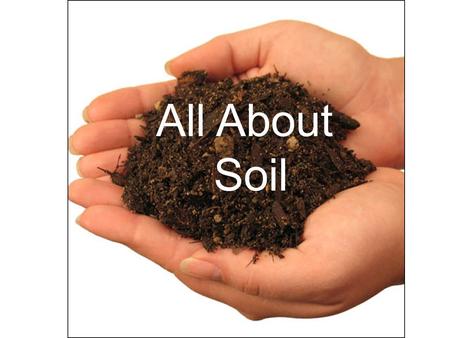 All About Soil All About Soil. Soil can basically be separated into 5 main parts: 1.Humus 2.Clay 3.Silt 4.Sand 5.Gravel.