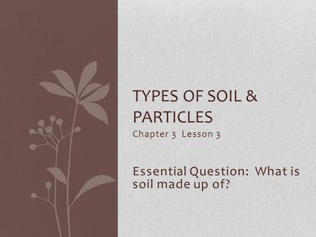 Chapter 3 Lesson 3 Essential Question: What is soil made up of? TYPES OF SOIL & PARTICLES.