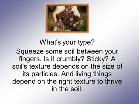 What's your type? Squeeze some soil between your fingers. Is it crumbly? Sticky? A soil's texture depends on the size of its particles. And living things.