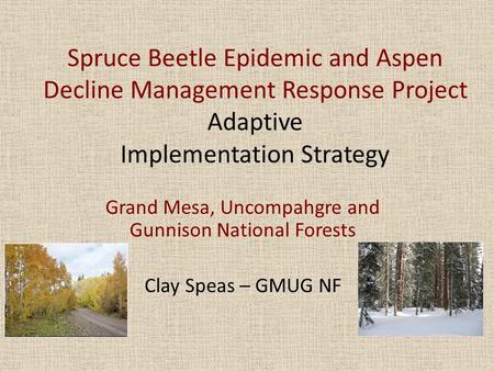 Spruce Beetle Epidemic and Aspen Decline Management Response Project Adaptive Implementation Strategy Grand Mesa, Uncompahgre and Gunnison National Forests.