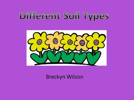 Breckyn Wilson. Content Area: Science Grade Level: Second Grade Summary: The purpose of this instructional PowerPoint is for the students to interactively.