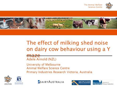 The Animal Welfare Science Centre The effect of milking shed noise on dairy cow behaviour using a Y maze Adele Arnold (NZL) University of Melbourne Animal.