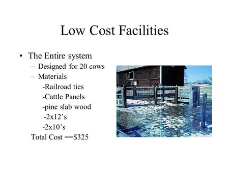 Low Cost Facilities The Entire system –Designed for 20 cows –Materials -Railroad ties -Cattle Panels -pine slab wood -2x12’s -2x10’s Total Cost ==$325.