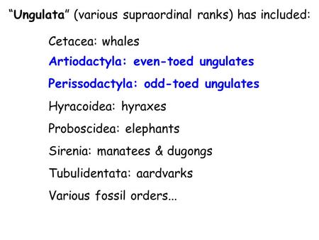 “Ungulata” (various supraordinal ranks) has included: Cetacea: whales Artiodactyla: even-toed ungulates Perissodactyla: odd-toed ungulates Hyracoidea: