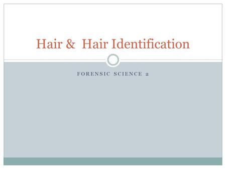 Hair & Hair Identification