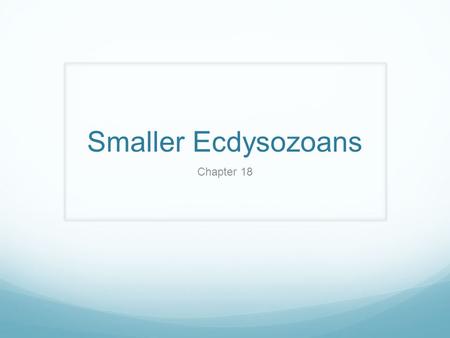 Smaller Ecdysozoans Chapter 18.