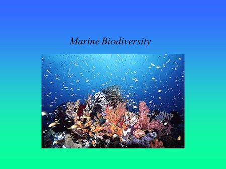 Marine Biodiversity.