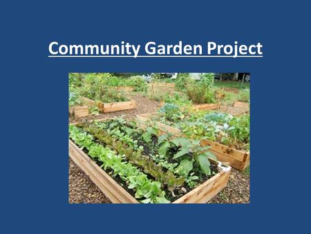 Community Garden Project. Primary Goals Service-learning & class content integration Stewardship & Cross Grade level participation Donate excess food…
