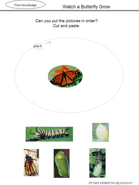 Watch a Butterfly Grow Prior knowledge Can you put the pictures in order? Cut and paste. JIR Watch a Butterfly jybooks.com start.