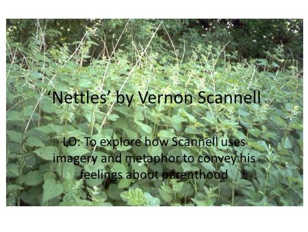 ‘Nettles’ by Vernon Scannell