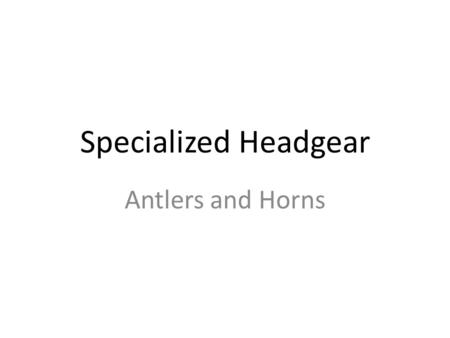 Specialized Headgear Antlers and Horns. Public Demand The demand for antlers and horns of many different animals has fueled illegal hunting and trafficking.
