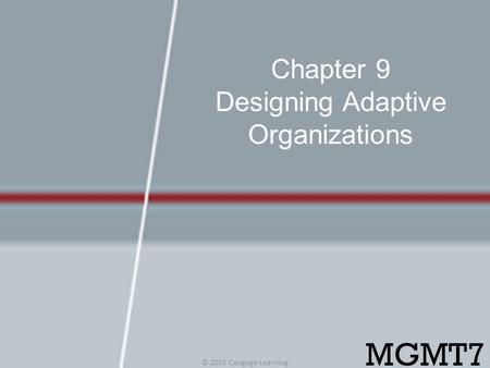 Chapter 9 Designing Adaptive Organizations